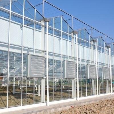 Aquecimento de água quente Estufas de vidro para controle de estroma da hidroponia