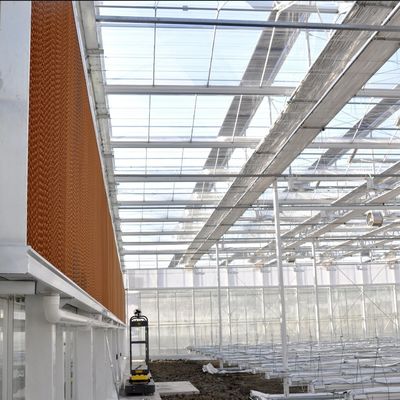 Aquecimento de água quente Estufas de vidro para controle de estroma da hidroponia