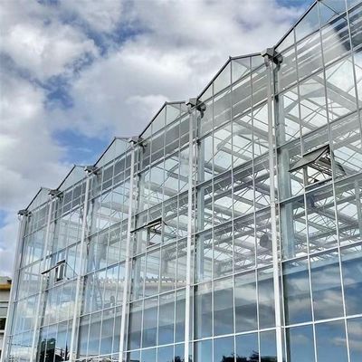 Estufas de vidro temperado de camada dupla e oco para sistema de cultivo hidropónico