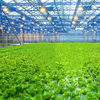 Estufas de vidro temperado de camada dupla e oco para sistema de cultivo hidropónico