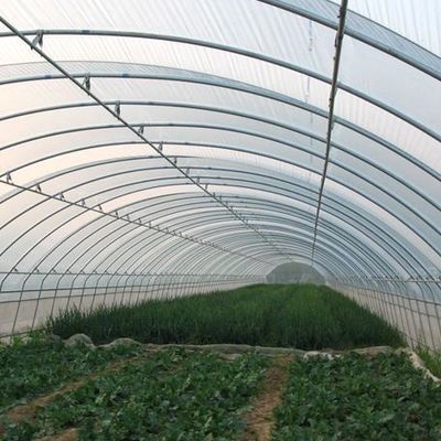 Pacote de produção de pimenta para estufas hidropónicas de arco único dos EUA Peso bruto 2000.000kg