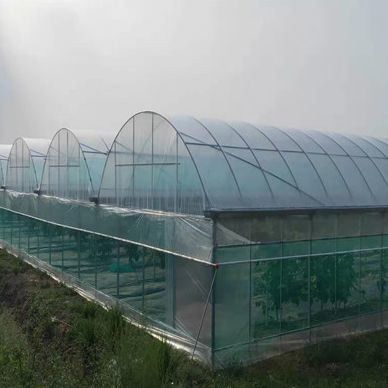 Pacote de produção de pimenta para estufas hidropónicas de arco único dos EUA Peso bruto 2000.000kg