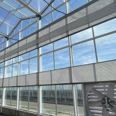 Estufas com teto de estilo Venlo com umidade controlada em várias faixas