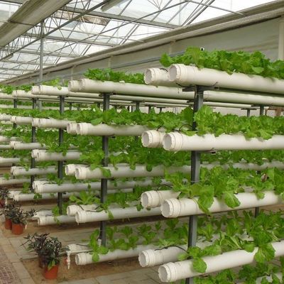 Estufas com teto de estilo Venlo com umidade controlada em várias faixas