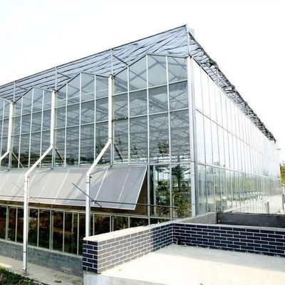 Origem Estufa de vidro de vegetais e flores com método de cultivo hidropónico