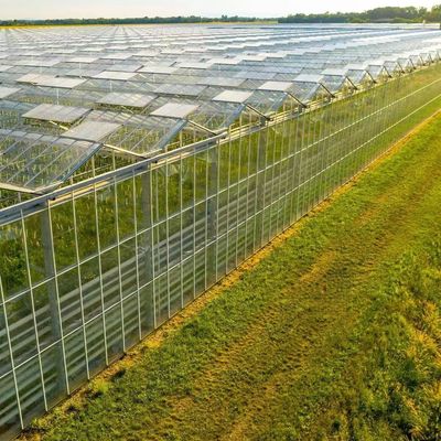 Origem Estufa de vidro de vegetais e flores com método de cultivo hidropónico