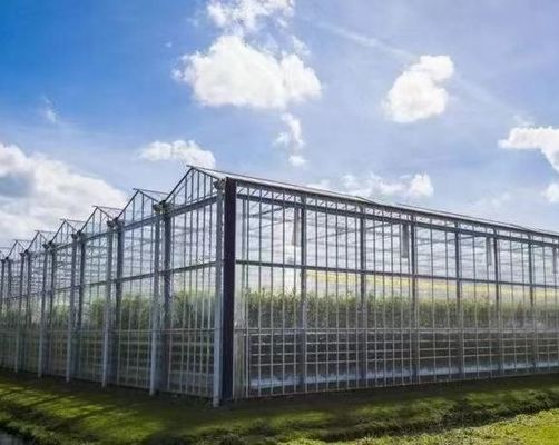 Origem Estufa de vidro de vegetais e flores com método de cultivo hidropónico
