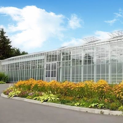 Origem Estufa de vidro de vegetais e flores com método de cultivo hidropónico