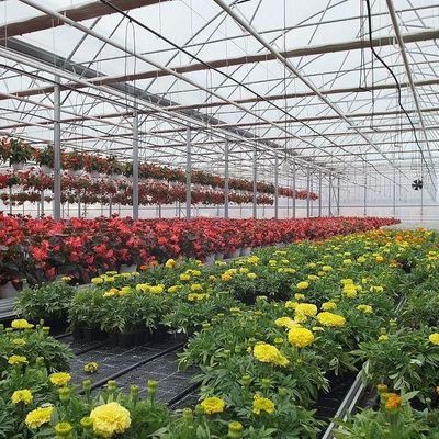 2000.000kg Pacote Peso Bruto Estufa de película anti-gotejamento