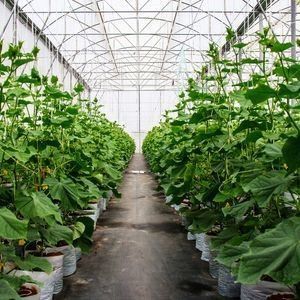 2000.000kg Pacote Peso Bruto Estufa de película anti-gotejamento