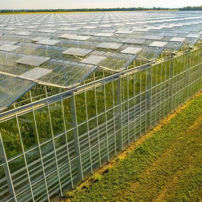 Customização de estufas de vidro multifalante ecológicas e prazo de entrega estimado