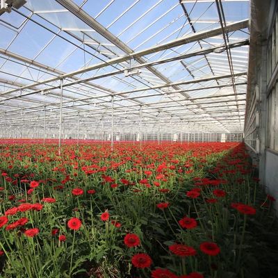 Customização de estufas de vidro multifalante ecológicas e prazo de entrega estimado