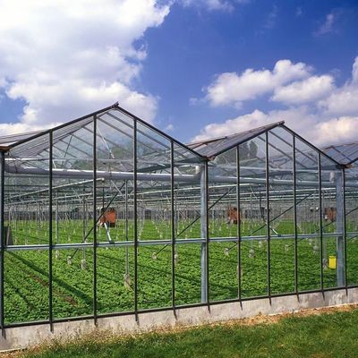 Customização de estufas de vidro multifalante ecológicas e prazo de entrega estimado