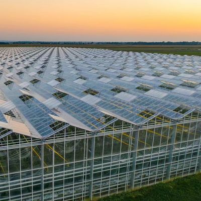 Customização de estufas de vidro multifalante ecológicas e prazo de entrega estimado