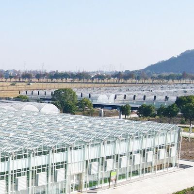 Estufas de vidro multifunção para soluções aquapônicas personalizadas de cultivo de vegetais
