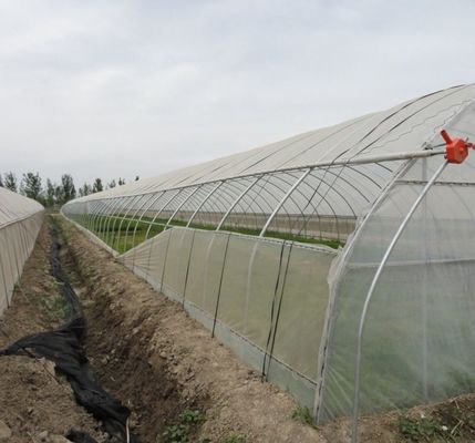 Pagamento inicial Grande pimenta e flor hidropônica com estufa de filme Pagamento total
