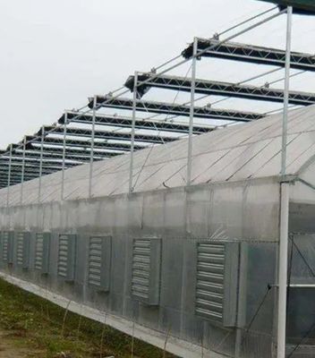 Pagamento inicial Grande pimenta e flor hidropônica com estufa de filme Pagamento total