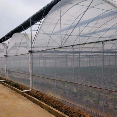 Pagamento inicial Grande pimenta e flor hidropônica com estufa de filme Pagamento total