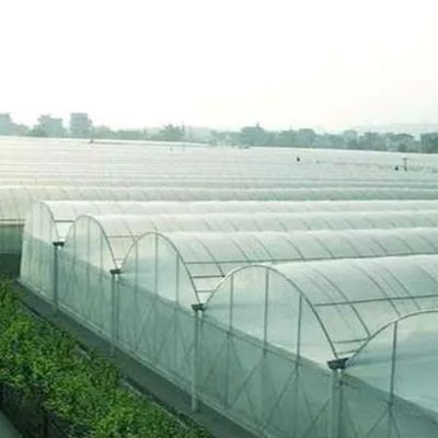 Opção de personalização Juxiang sistema hidropônico de cultivo de vegetais filmagem estufa