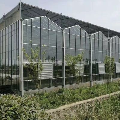 Estufas de vidro com hidroponia de crescimento de requisição personalizada de telhado de forma um tipo de telhado