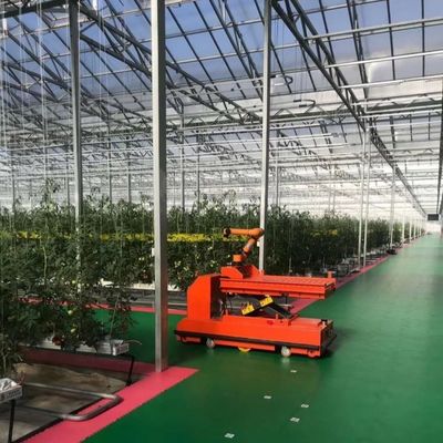 Estufa de vidro hidropónico para flores Custo de envio e prazo de entrega estimado