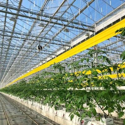 Estufa de vidro hidropónico para flores Custo de envio e prazo de entrega estimado