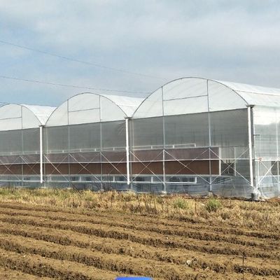 Estufas de um único arco para cultivo de flores