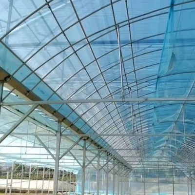 Estufas de um único arco para cultivo de flores