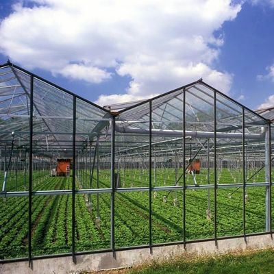 Estufas de vidro com sistema de cultivo hidropónico
