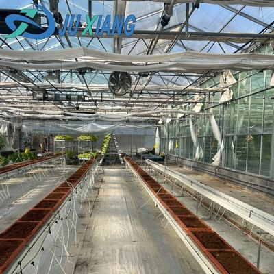 Estufas de vidro com sistema de cultivo hidropónico