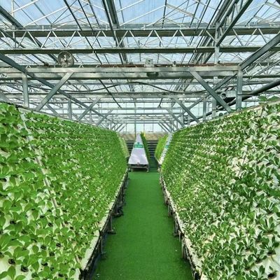 Estufas de vidro com sistema de cultivo hidropónico