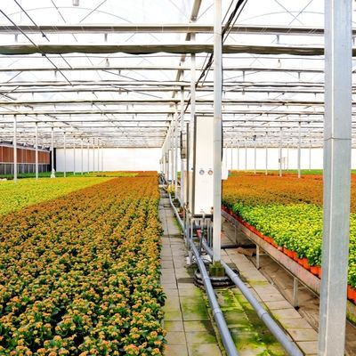 Venlo Estufas de vidro para vegetais Telhado de forma tipo telhado 30 dias Devoluções