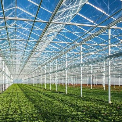 Venlo Estufas de vidro para vegetais Telhado de forma tipo telhado 30 dias Devoluções