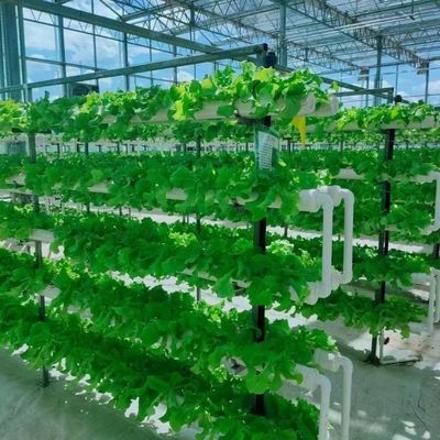 Venlo Estufas de vidro para vegetais Telhado de forma tipo telhado 30 dias Devoluções
