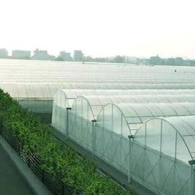 Estufa de filme de duas camadas para cultivo sem solo de tomate, pepino e flor