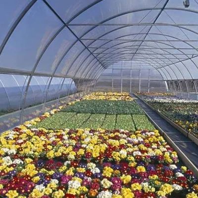 Estufa de filme de duas camadas para cultivo sem solo de tomate, pepino e flor