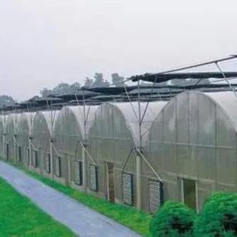 Estufa de filme de duas camadas para cultivo sem solo de tomate, pepino e flor