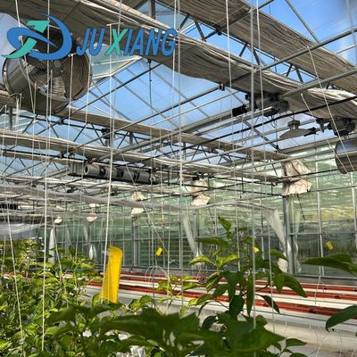 Estufa comercial acessível para vegetais ou flores amostras US 20 por metro quadrado