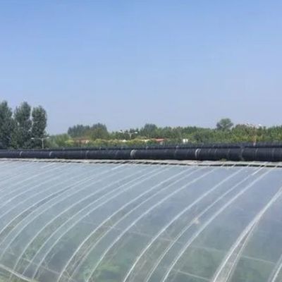 Estufas temporárias de aquecimento com arco de telhado para a produção de tomate e pepino