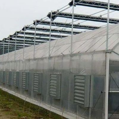 Estufas temporárias de aquecimento com arco de telhado para a produção de tomate e pepino