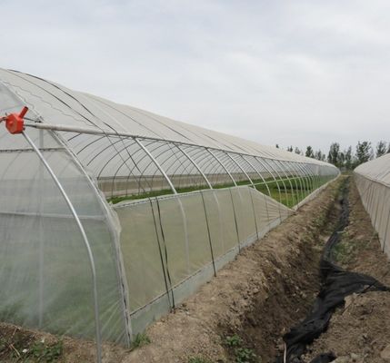 Estufas hidropónicas de pimentão e flores de duplo arco com forma de telhado multi-espansão