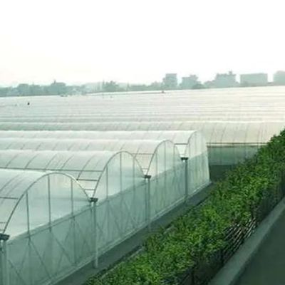 Estufas hidropónicas de pimentão e flores de duplo arco com forma de telhado multi-espansão