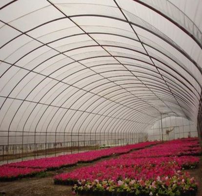 Estufas hidropónicas de pimentão e flores de duplo arco com forma de telhado multi-espansão