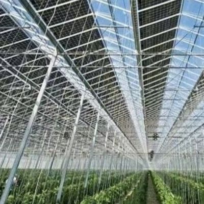 US Hot DIP Galvanizado de Aço Multi Span Glass Estufa 50.00cm * 60.00cm * 80.00cm