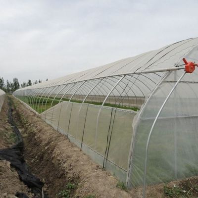 1209.00cm * 235.00cm * 239.00cm Cobre de película Estufas para tomate e pepino