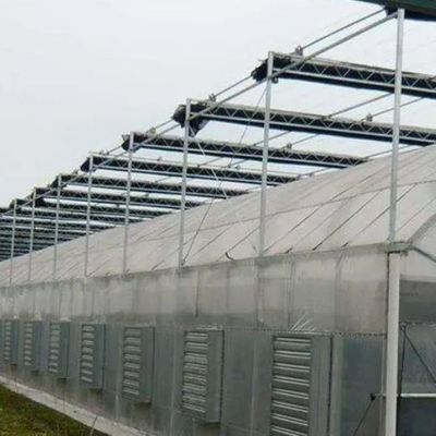 2000.000kg Pacote Peso Bruto Sistema hidropónico de panela única para estufa de arco duplo