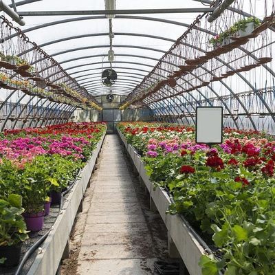 Sistema hidropónico de aquecimento temporário com filme de estufa para plantação de vegetais e flores