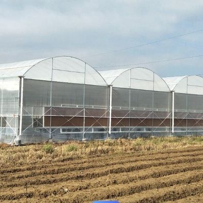 Sistema hidropónico de aquecimento temporário com filme de estufa para plantação de vegetais e flores