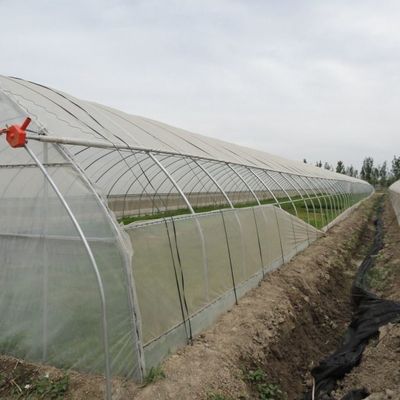 Sistema hidropónico de aquecimento temporário com filme de estufa para plantação de vegetais e flores