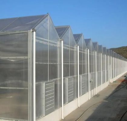 Estufa de filme de arco duplo para o crescimento de pepinos